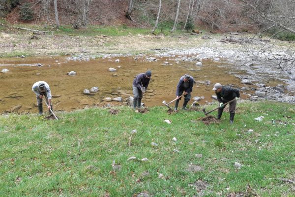 Planting in alluvial forest (c) FCC