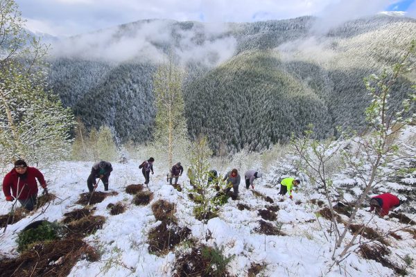 Planting weather on April 2024.5