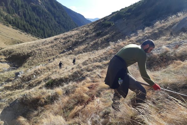 Zarna_Codrut Voinescu (9)