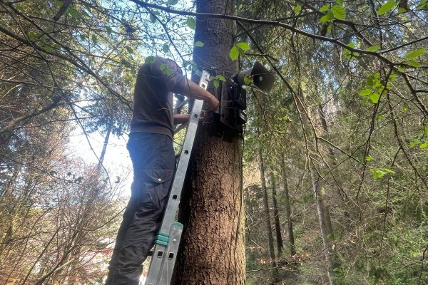 Bear reppelent (c) FCC