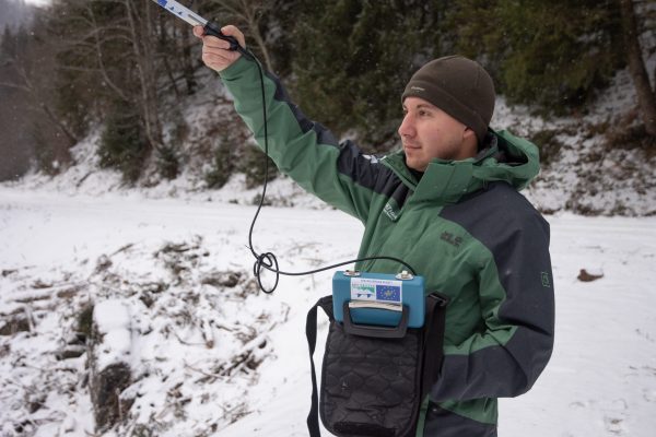 Bison tracking_© CalinSerban