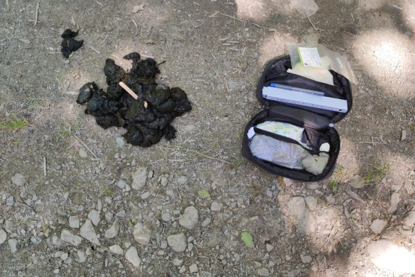 D.5.2_Bear sampling1 (c) FCC (2)