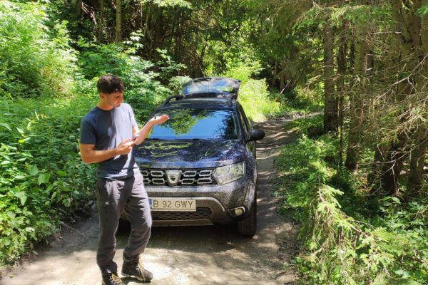 D.5.2_Bear sampling1 (c) FCC (3)