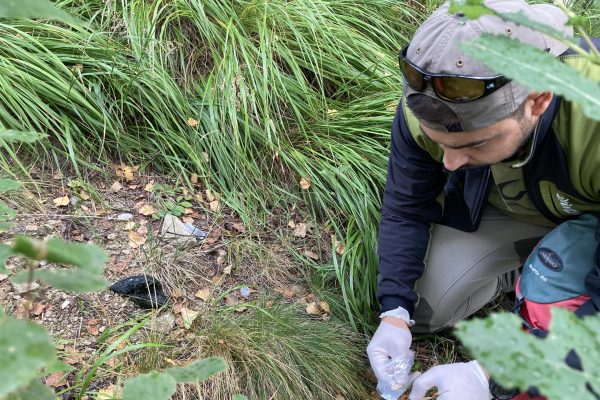 D.5.2_Bear sampling1 (c) FCC (4)