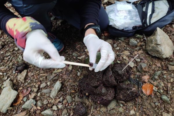 Wildlife monitoring © Ruben Iosif