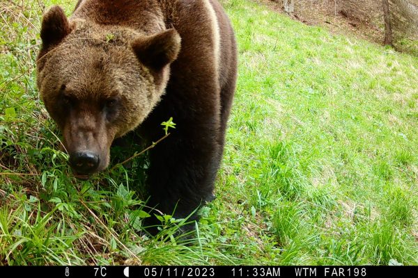 P02[813:812] TT[531] E[138:0180]G[000:0x00] BV[105:0] IR[L:F:60] MOE[0:3] AL:[0:0] C[P] R1S1 T07C:P0000 WTM FAR198 M6