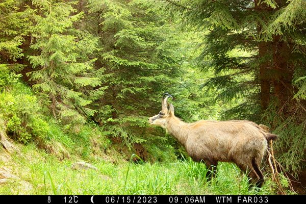 P02[811:810] TT[521] E[129:0266]G[000:0x00] BV[96:0] IR[L:F:60] MOE[0:2] AL:[0:0] C[P] R1S1 T12C:P0000 WTM FAR033 M7